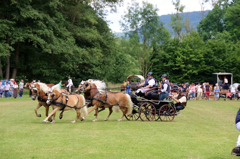 Gefahren und geritten