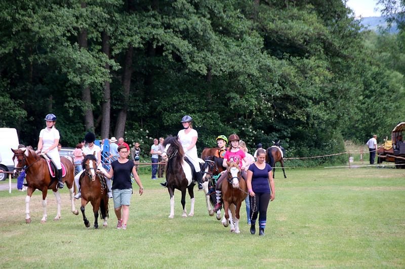 Gefahren und geritten