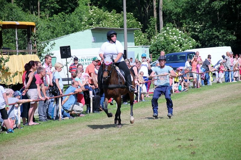 Gefahren und geritten