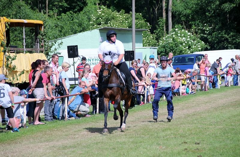 Gefahren und geritten