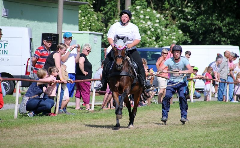 Gefahren und geritten