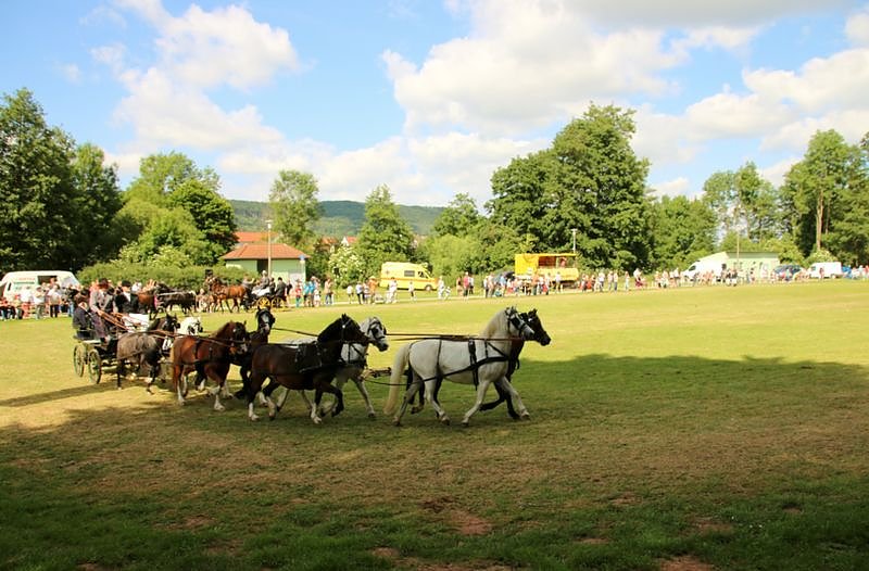 Gefahren und geritten