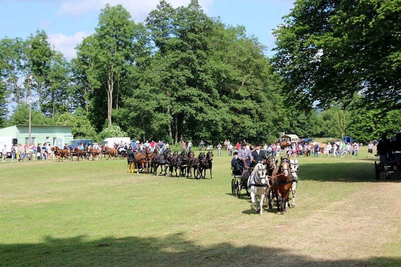 Gefahren und geritten