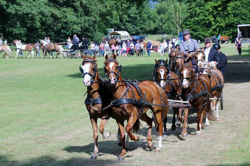 Gefahren und geritten