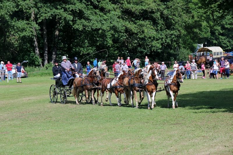 Gefahren und geritten