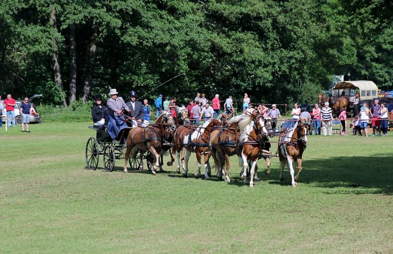 Gefahren und geritten