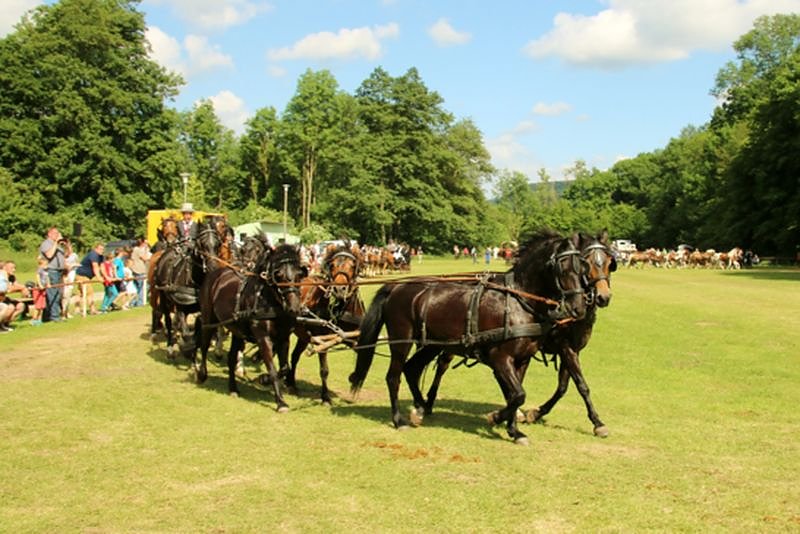 Gefahren und geritten