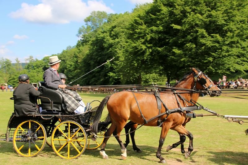 Gefahren und geritten