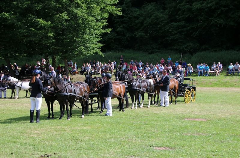 Gefahren und geritten