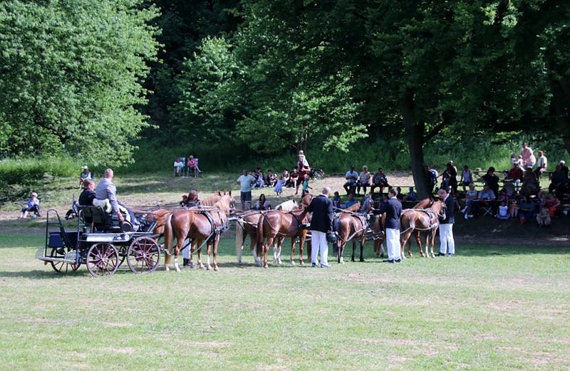 Gefahren und geritten