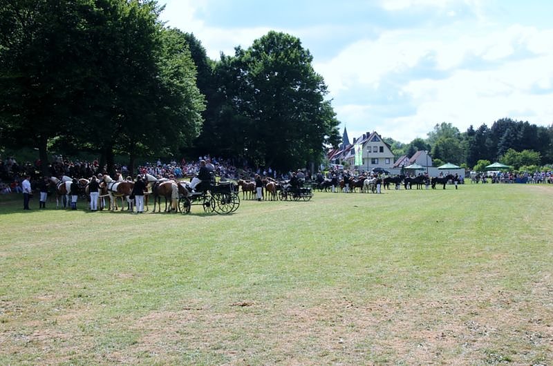 Gefahren und geritten