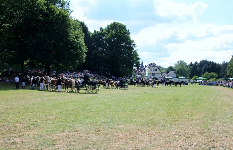 Gefahren und geritten