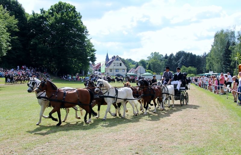 Gefahren und geritten