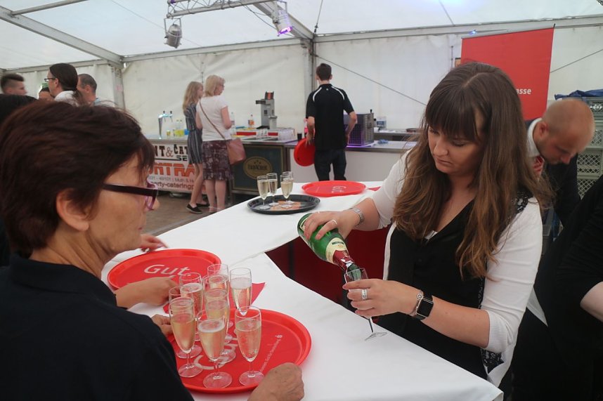 Sommerfest des Landratsamtes in Neustadt
