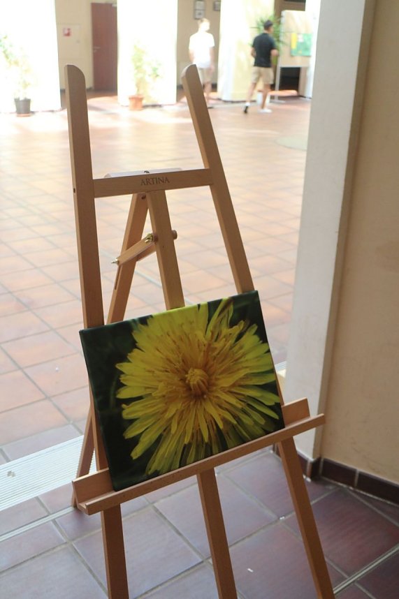 Sommerfest der Petersbergschule in Nordhausen