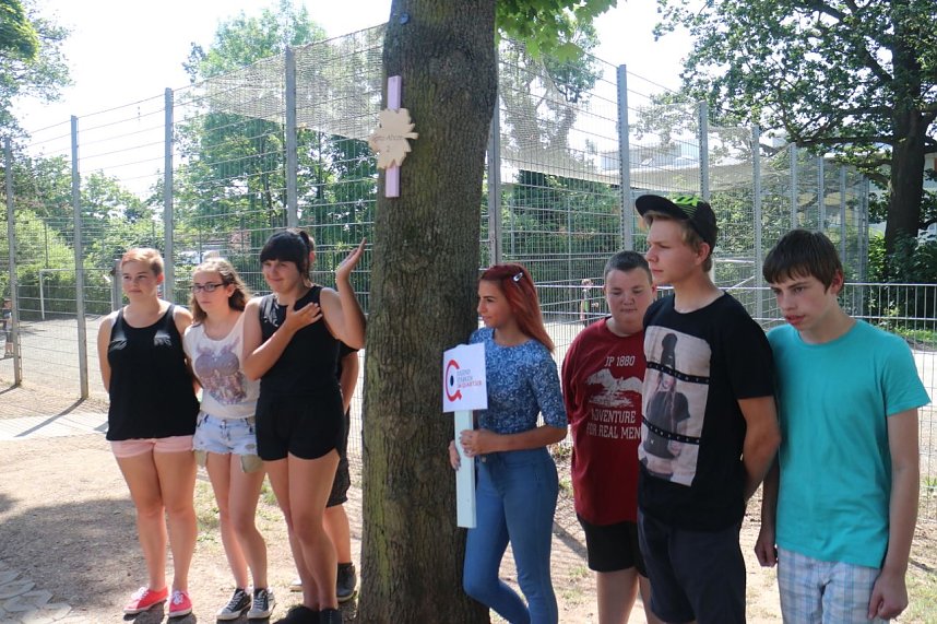 Teich, Z&auml;une, B&auml;ume - kurz vor den Ferien hat man sich am F&ouml;rderzentrum Pestalozzi nochmal richtig ins Zeug gelegt
