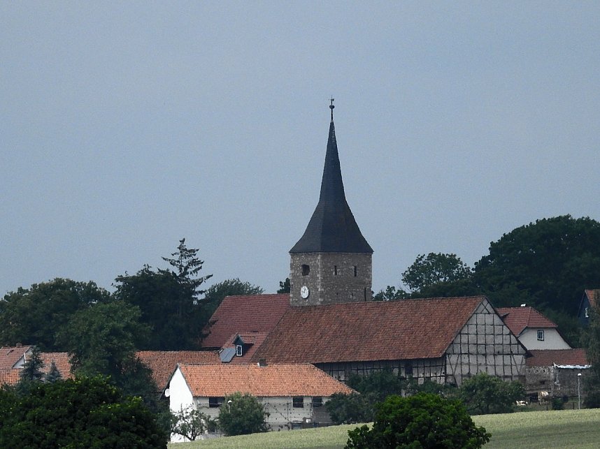 Kleine Sensation am Wiesenteich bei Liebenrode