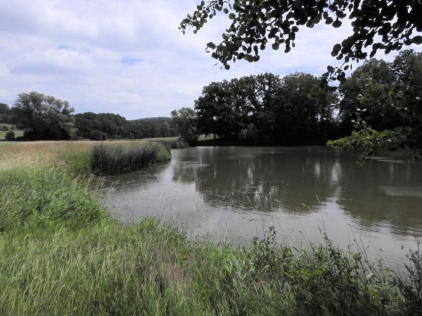 Kleine Sensation am Wiesenteich bei Liebenrode