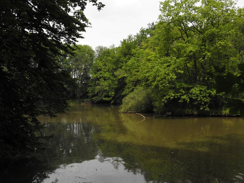 Kleine Sensation am Wiesenteich bei Liebenrode
