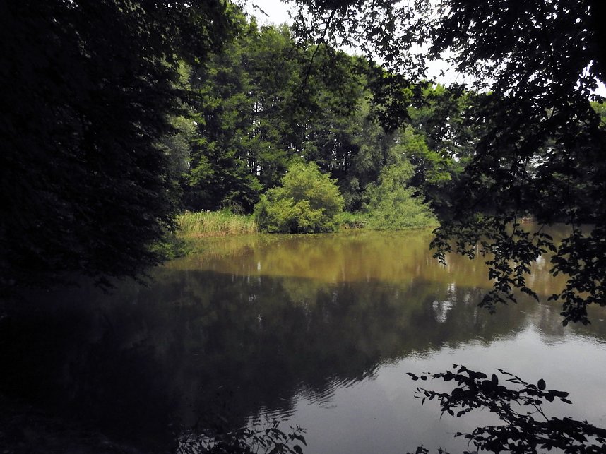 Kleine Sensation am Wiesenteich bei Liebenrode