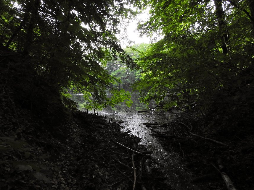 Kleine Sensation am Wiesenteich bei Liebenrode