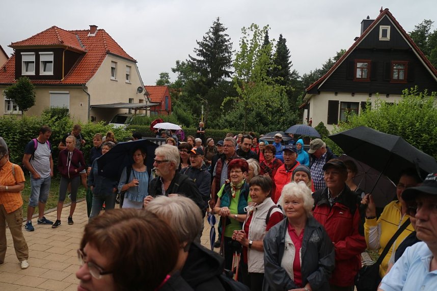 Harzblickwandermarathon - Start der Kurzstrecke