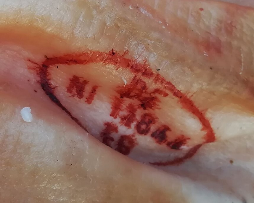 Wieder Schlachtabf&auml;lle entsorgt