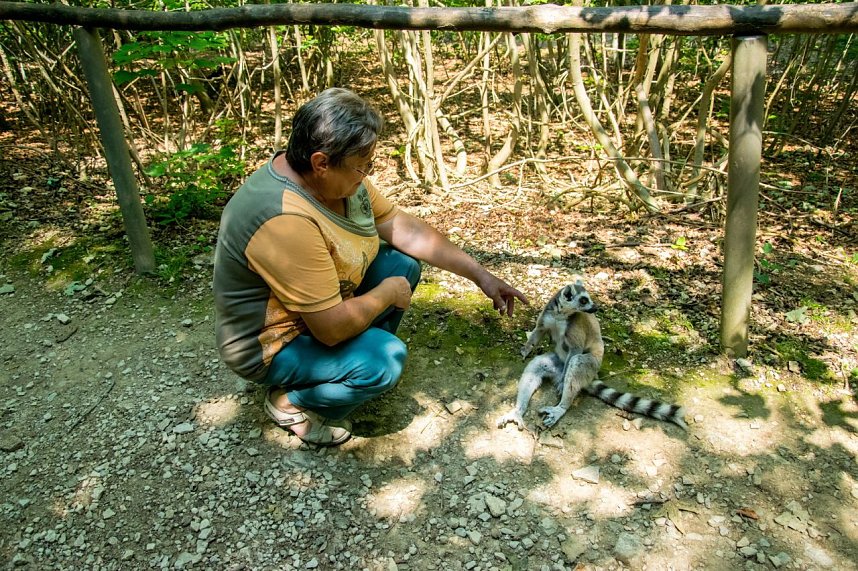 Besuch bei den Affen am Strau&szlig;berg