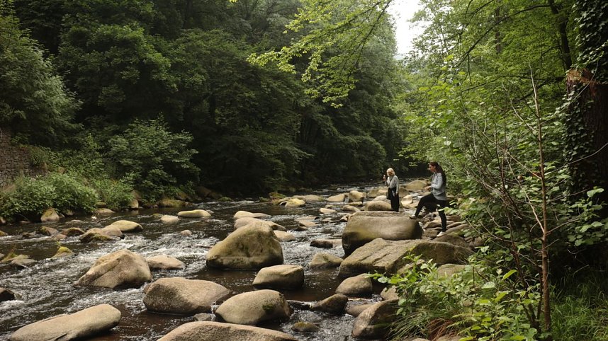 Sonntagswanderung bei Thale