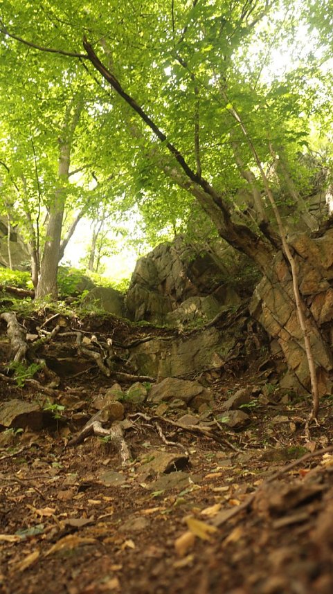 Sonntagswanderung bei Thale