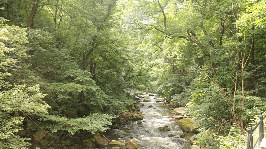 Sonntagswanderung bei Thale