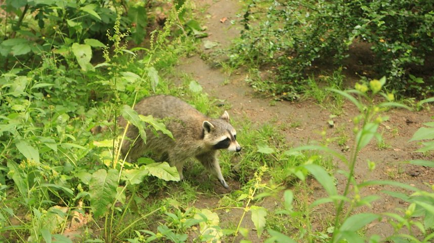 Sonntagswanderung bei Thale
