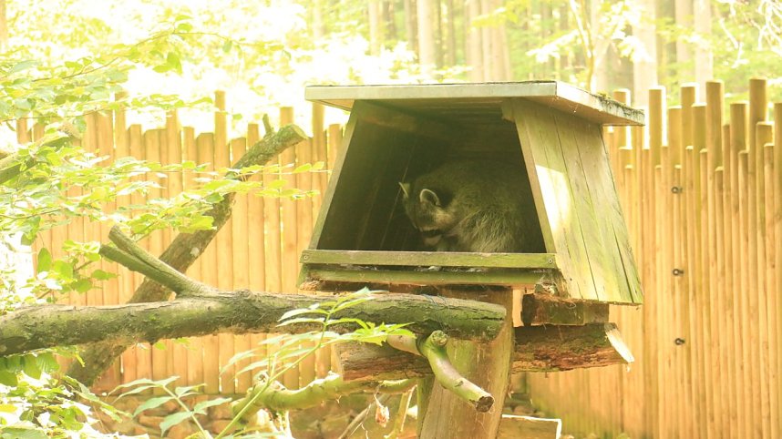 Sonntagswanderung bei Thale