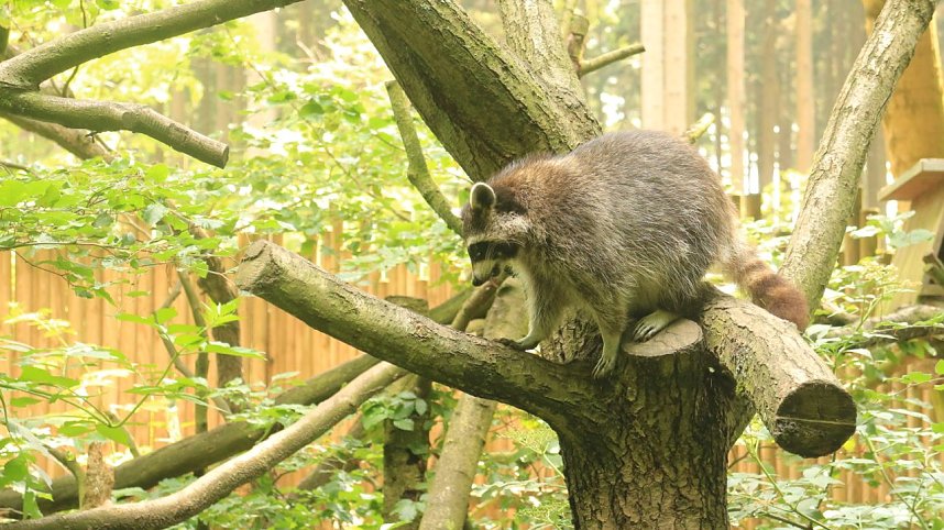 Sonntagswanderung bei Thale