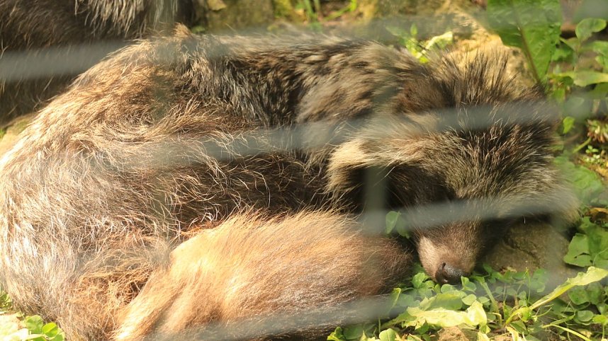 Sonntagswanderung bei Thale