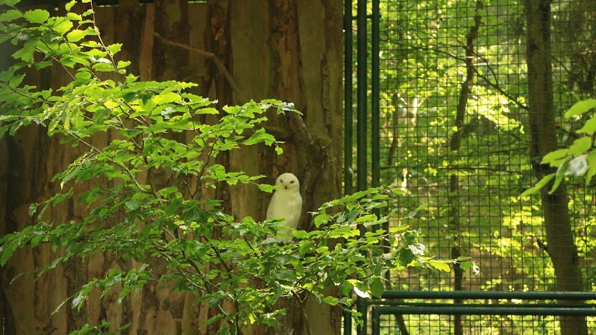 Sonntagswanderung bei Thale