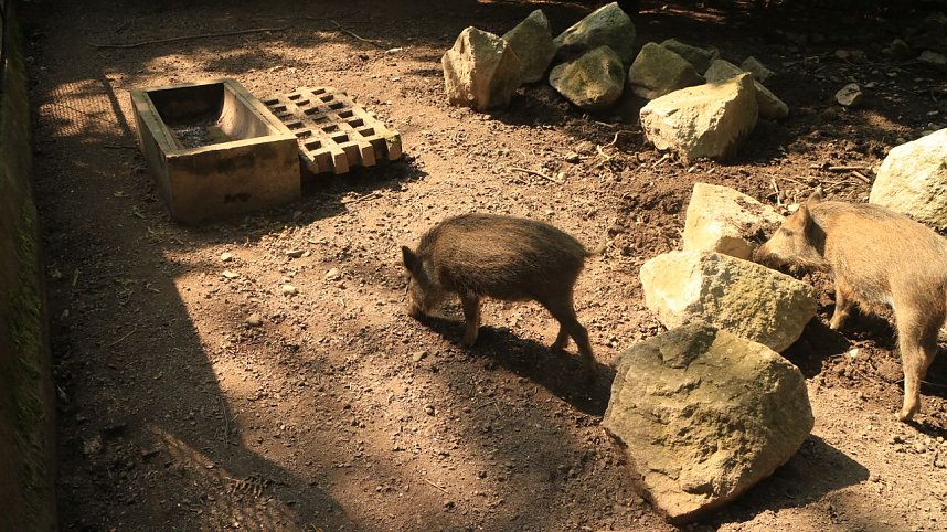 Sonntagswanderung bei Thale