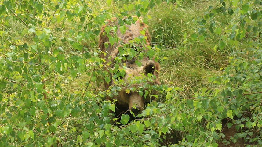 Sonntagswanderung bei Thale