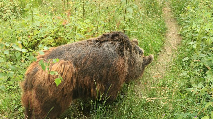Sonntagswanderung bei Thale