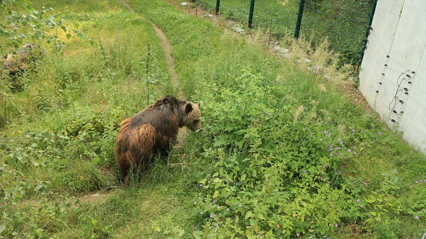 Sonntagswanderung bei Thale