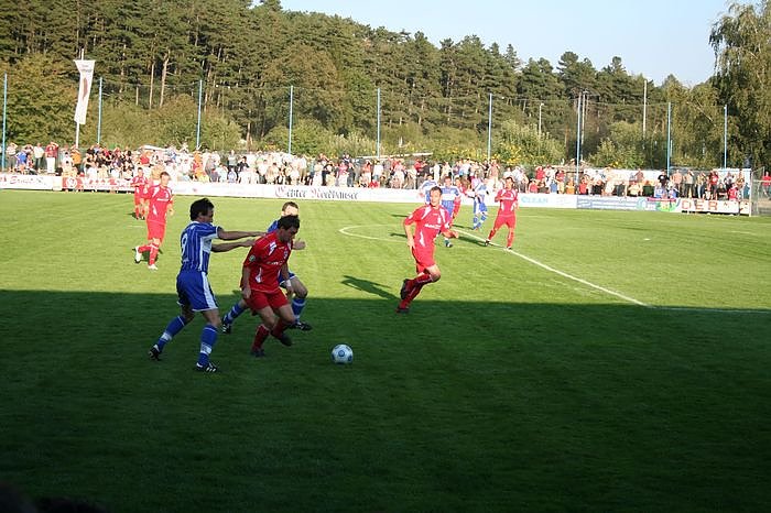 Einmaliger Pokalhiit