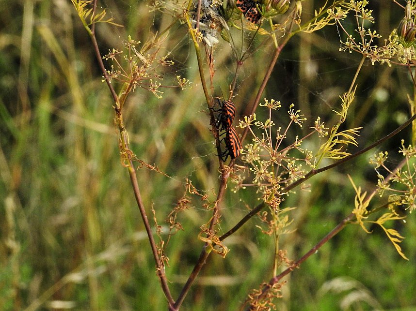 Am Boden und in der Luft