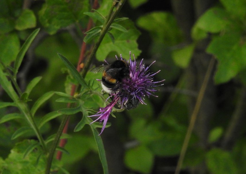 Am Boden und in der Luft