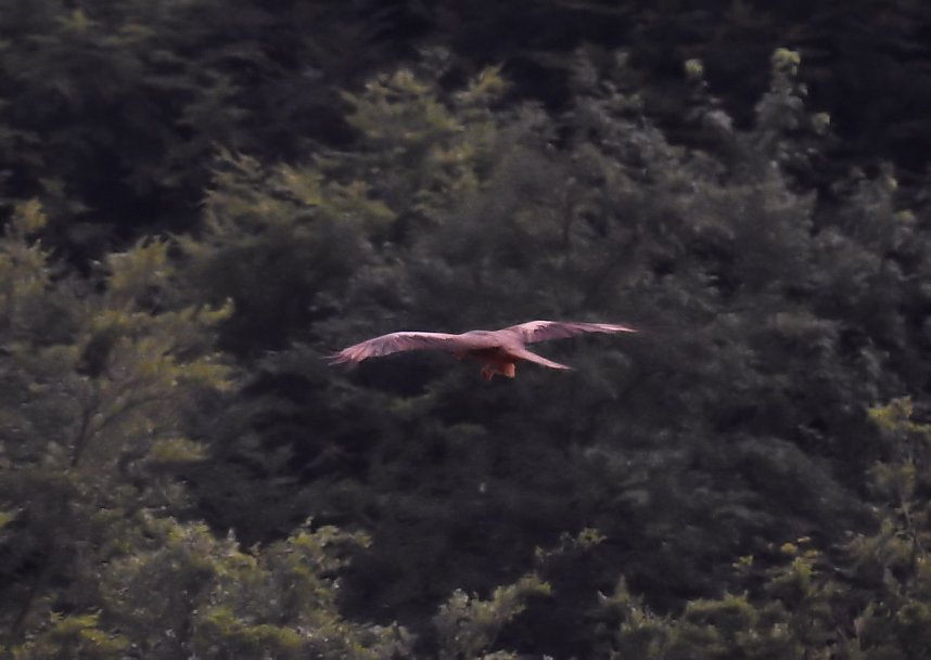 Am Boden und in der Luft