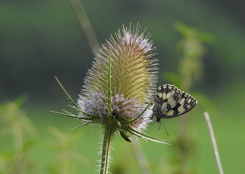 Am Boden und in der Luft