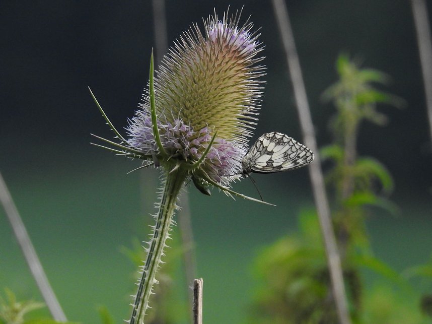 Am Boden und in der Luft