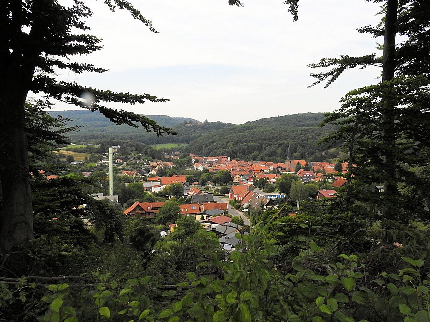 Am Boden und in der Luft