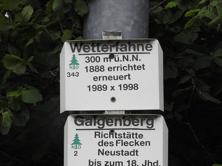 Am Boden und in der Luft