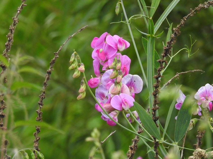Am Boden und in der Luft