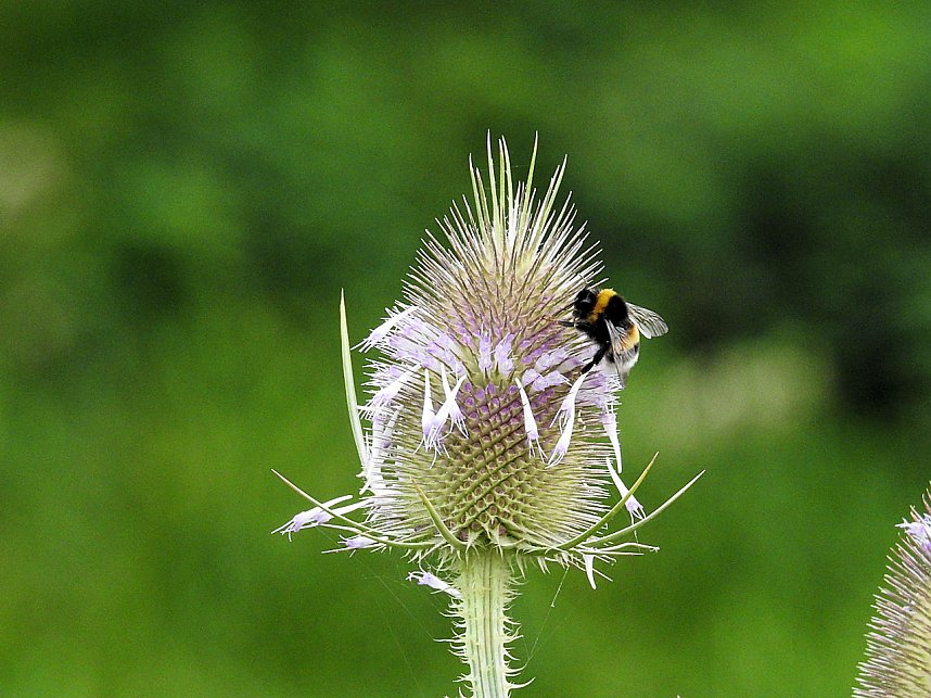 Am Boden und in der Luft